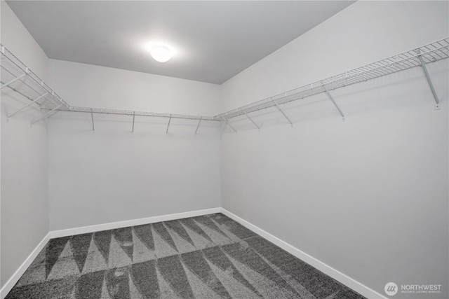 walk in closet with dark carpet