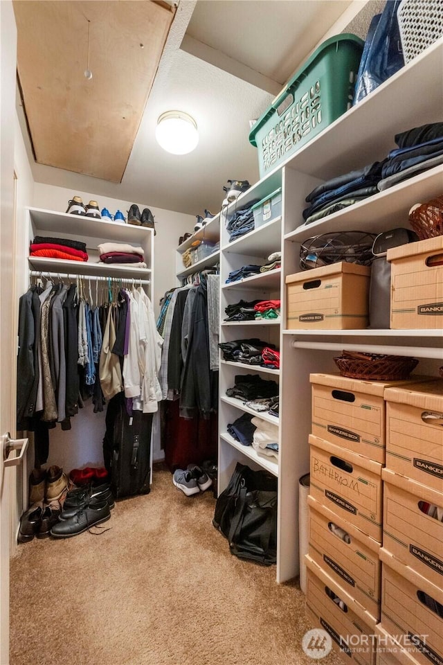 walk in closet with carpet floors