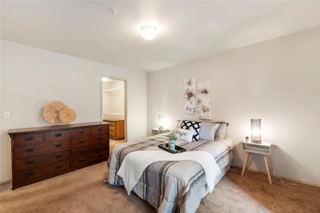 11130 SE 208th St Unit J204, Kent, WA 98031 - bedroom featuring light colored carpet