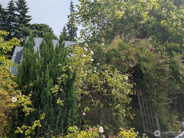 7121 Rainier Dr, Everett, WA 98203 - photo 3