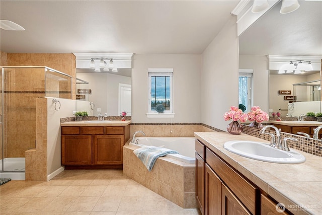 full bathroom with a sink and a shower stall