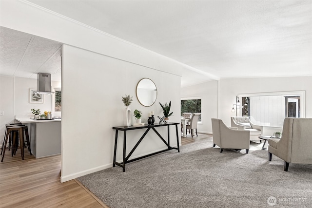 interior space featuring lofted ceiling, wood finished floors, baseboards, and a textured ceiling