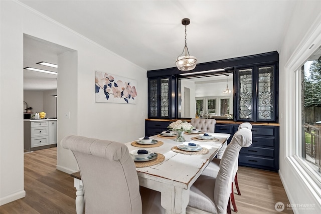 dining room featuring crown molding, wood finished floors, and a healthy amount of sunlight