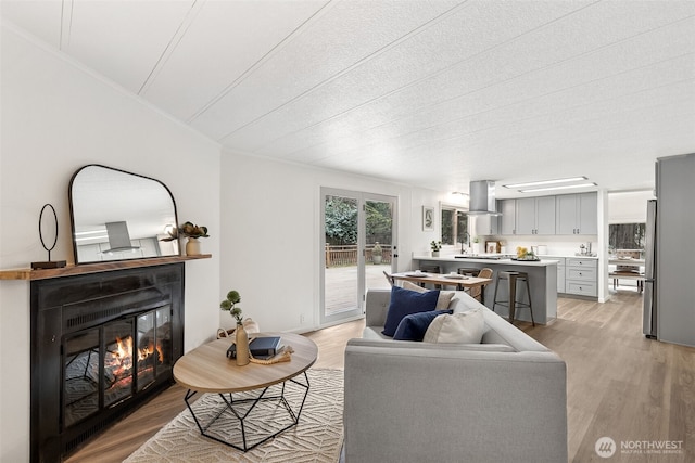 living room featuring light wood-type flooring and a glass covered fireplace