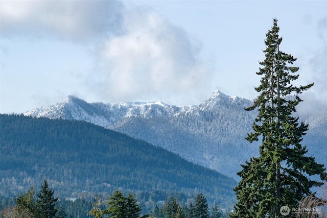 mountain view with a wooded view