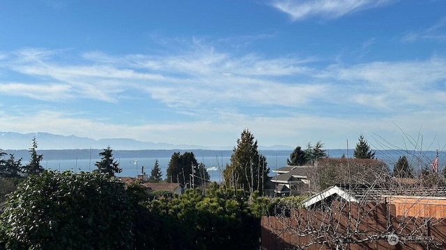 view of water feature featuring a mountain view