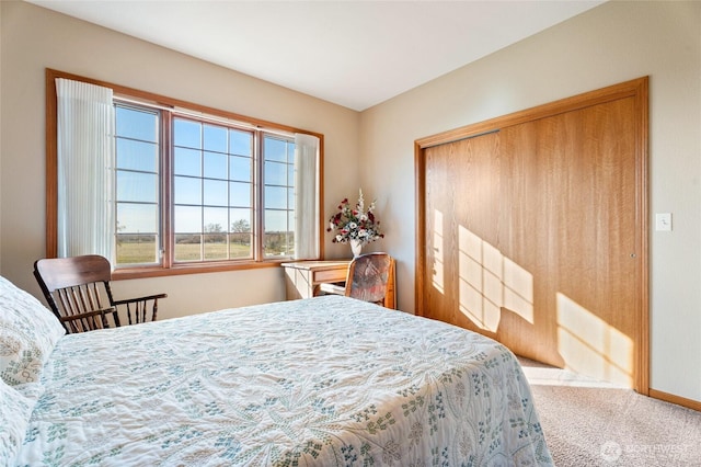 bedroom featuring carpet and a closet