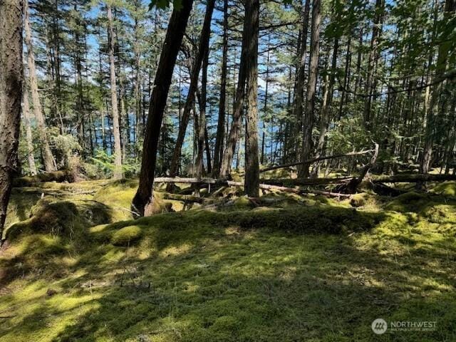 Listing photo 3 for 0LOT27 Peavine Way, Obstruction Island WA 98279