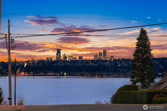 water view featuring a city view