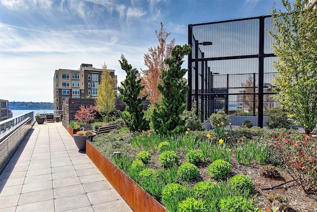 2821 2nd Ave Unit 1005, Seattle, WA 98121 - view of community with a vegetable garden