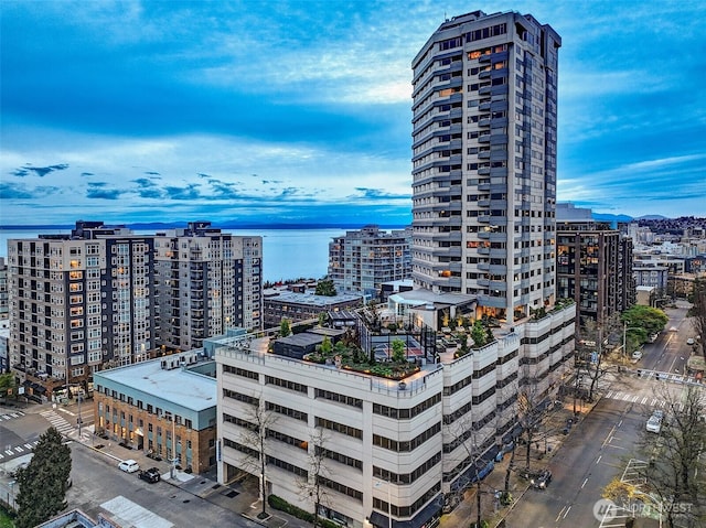2821 2nd Ave Unit 1005, Seattle, WA 98121 - view of property featuring a view of city and a water view