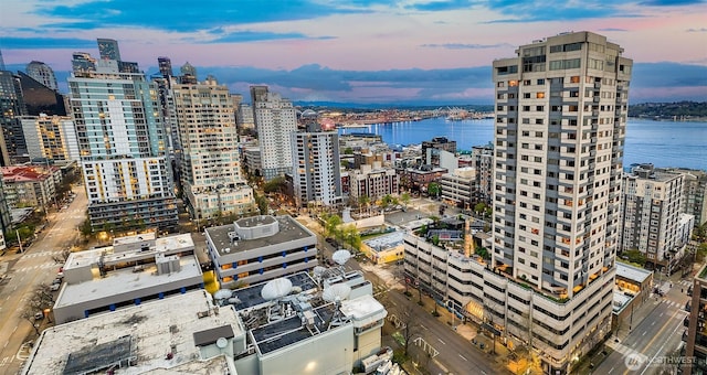 2821 2nd Ave Unit 1005, Seattle, WA 98121 - exterior space featuring a water view