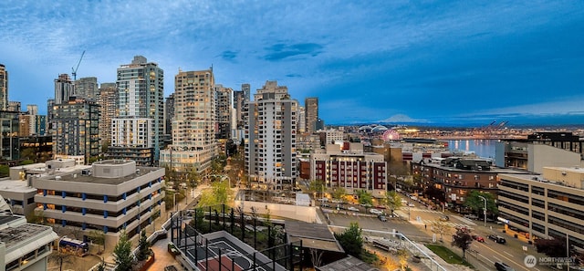 2821 2nd Ave Unit 1005, Seattle, WA 98121 - property's view of city