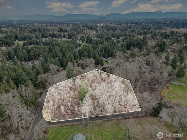 17400 SE 298th St, Kent WA, 98042 land for sale