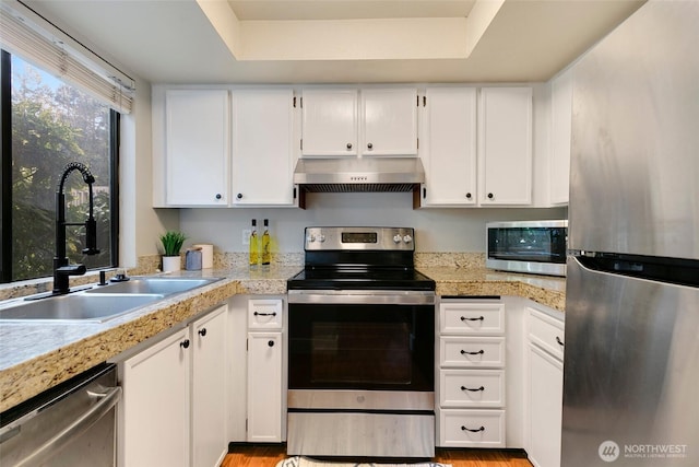 kitchen with white cabinets, range hood, stainless steel appliances, and a sink