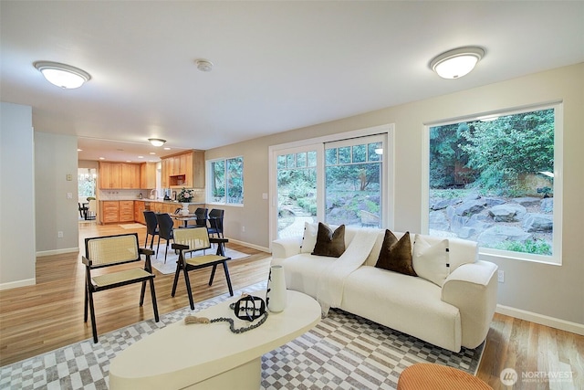 living area with plenty of natural light, light wood-style flooring, and baseboards