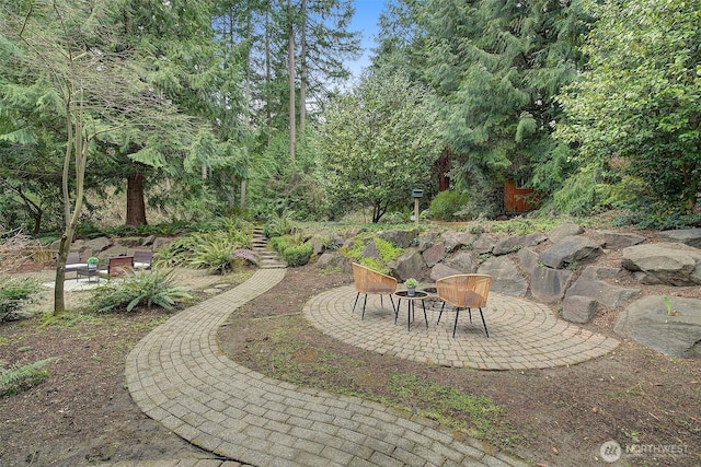 view of yard featuring a patio area