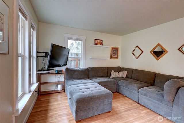 living area featuring wood finished floors