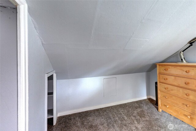 additional living space featuring dark colored carpet, baseboards, and lofted ceiling