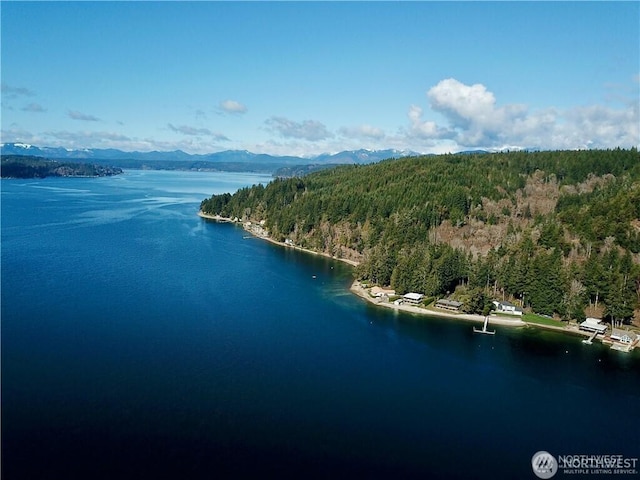 bird's eye view featuring a wooded view and a water and mountain view