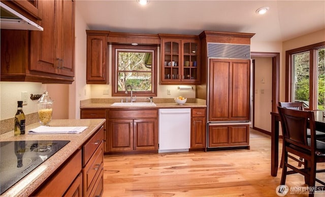 kitchen with dishwasher, light wood-style flooring, glass insert cabinets, black electric stovetop, and a sink