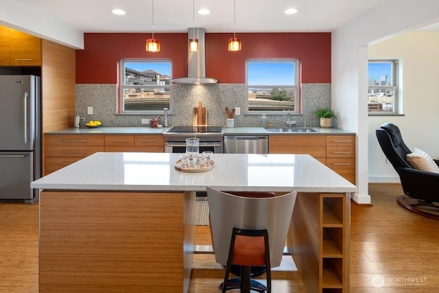 kitchen with brown cabinets, stainless steel appliances, a sink, modern cabinets, and wall chimney exhaust hood