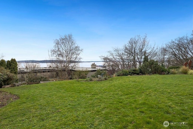 view of yard featuring a water view