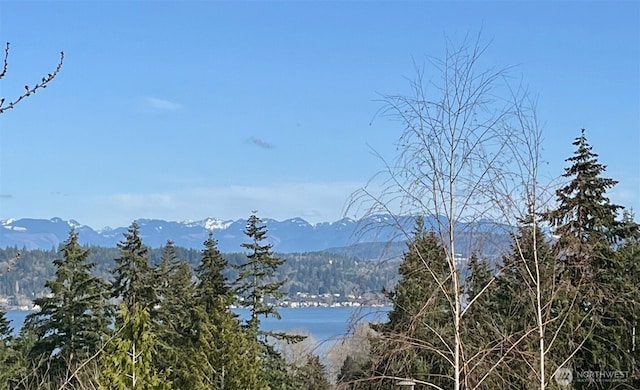 mountain view with a forest view and a water view