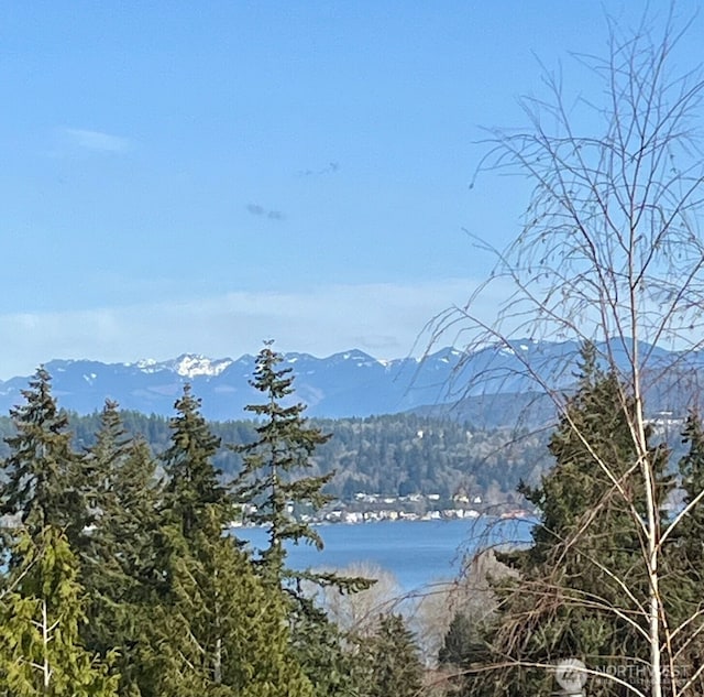 property view of mountains featuring a forest view and a water view