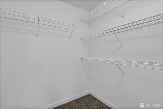 spacious closet with dark carpet