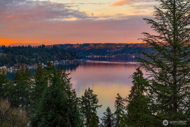 property view of water featuring a wooded view