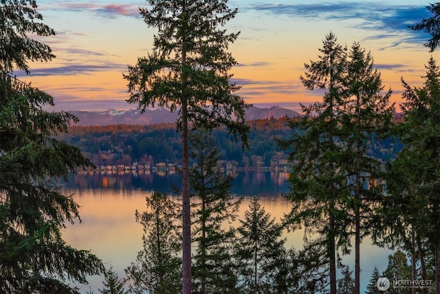 water view featuring a mountain view and a wooded view