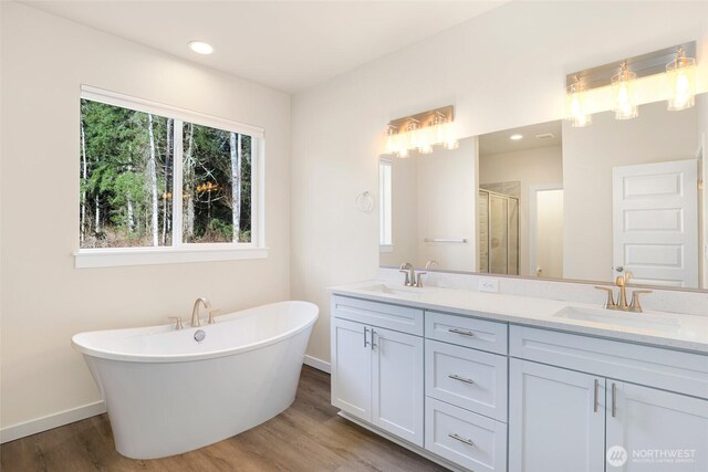 10707 212th St E, Graham, WA 98338 - bathroom featuring double vanity, a stall shower, wood finished floors, and a sink