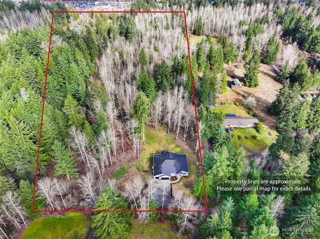 10707 212th St E, Graham, WA 98338 - aerial view with a view of trees