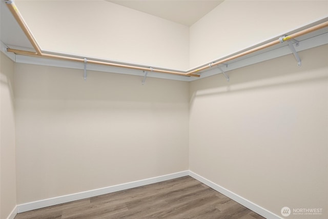 10707 212th St E, Graham, WA 98338 - walk in closet with wood finished floors