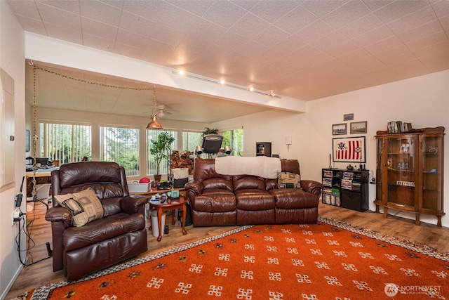 living area featuring a wealth of natural light, track lighting, and wood finished floors