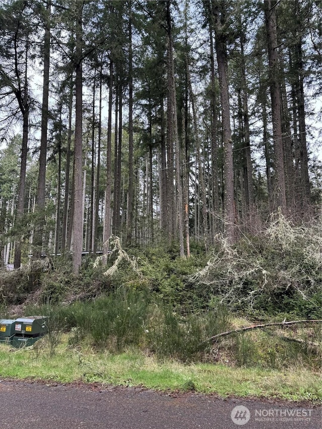 12023 Sound Dr, Anderson Island, WA 98303 - photo 1