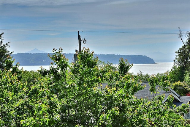 view of mountain feature with a water view