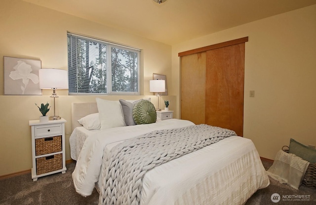 bedroom with dark colored carpet and a closet