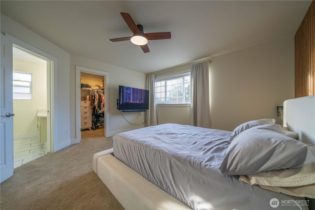 bedroom featuring ceiling fan, connected bathroom, carpet floors, a closet, and a walk in closet