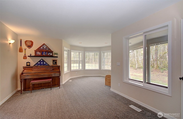 living area with visible vents, baseboards, and carpet