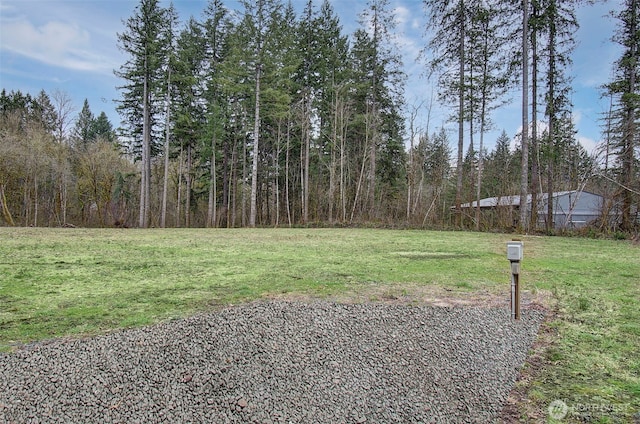 view of yard featuring a forest view