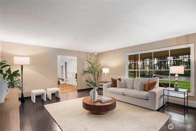 living room featuring dark wood-style flooring