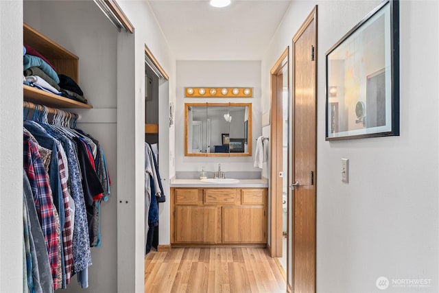 bathroom featuring a spacious closet, vanity, and wood finished floors