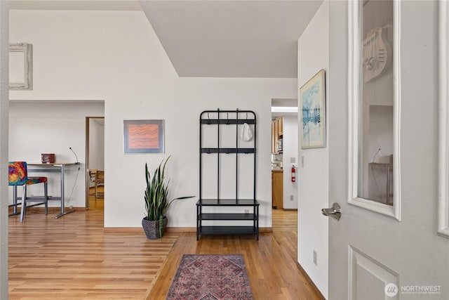 foyer entrance featuring wood finished floors