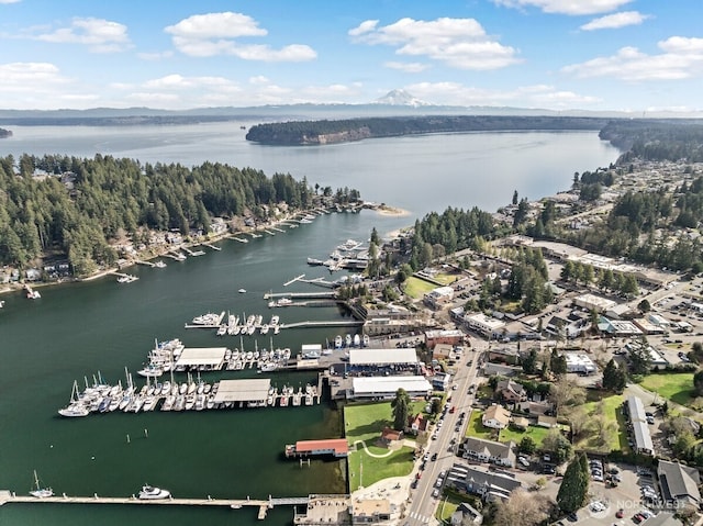 drone / aerial view featuring a water view