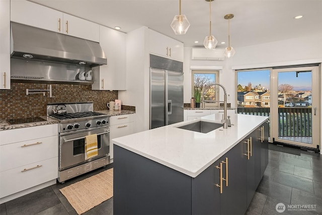 kitchen featuring premium appliances, a sink, under cabinet range hood, white cabinetry, and tasteful backsplash