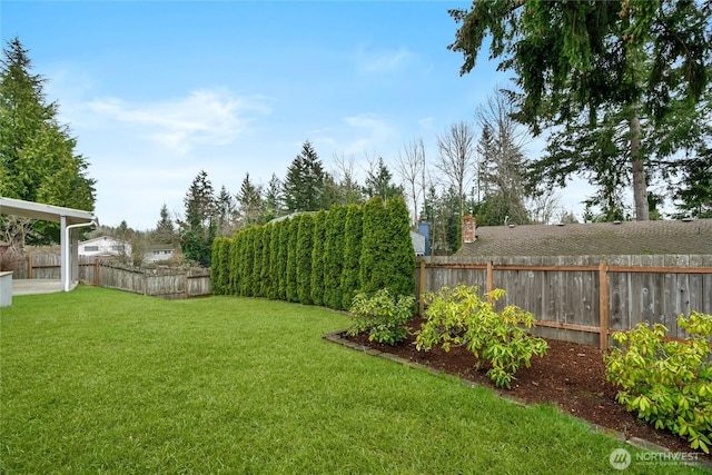 view of yard featuring a fenced backyard