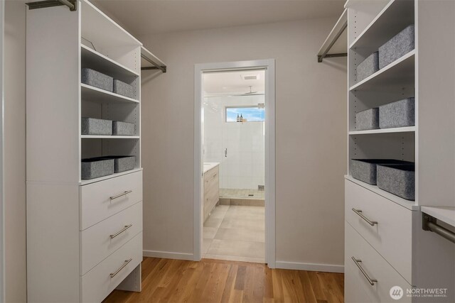 spacious closet featuring light wood finished floors