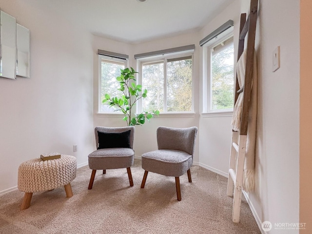 sitting room featuring light carpet and baseboards